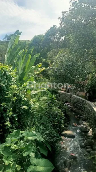 image TANAH COCOK UNTUK BISNIS LOKASI STRATEGIS DI JASINGA BOGOR (3)