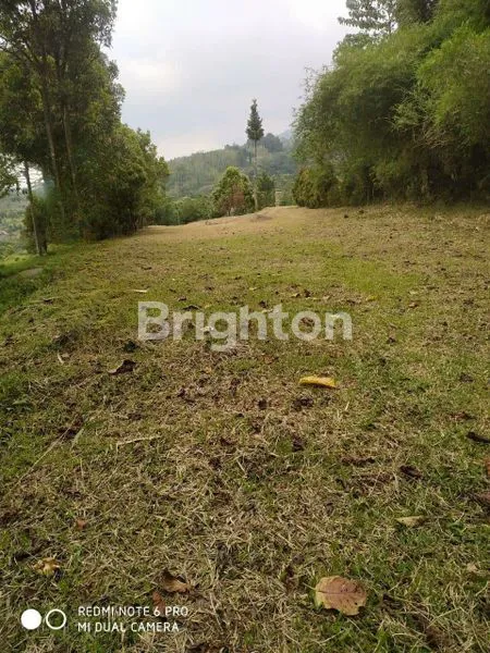 image KAVLING STRATEGIS DI CIJERUK VIEW GUNUNG SALAK (1)