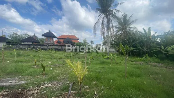 image INVESTASI TANAH SHM DI BADUNG, AKSES MUDAH (5)