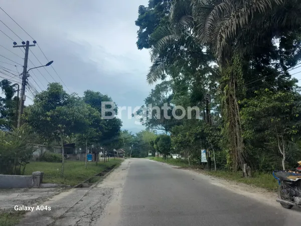 image TANAH  KEBUN SAWIT DI LOKASI STRATEGIS RUMBAI JALAN PATRIASARI  (2)