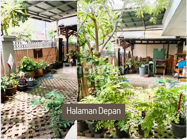 image RUMAH DI JUAL (3)