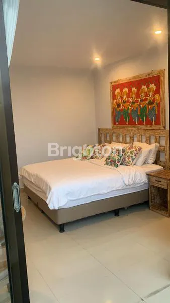 image VILLA SAWAH CANGGU FULL FURNISHED KOLAM (3)