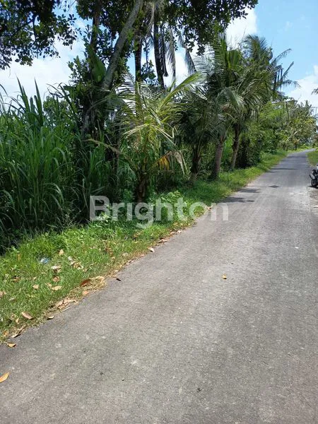 image VILLA DIJUAL DI PERING (3)