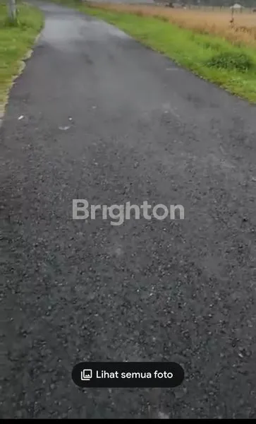 image DISEWAKAN TANAH DI PINGGIR PANTAI LIMA 70 JUTA  NEGO (2)