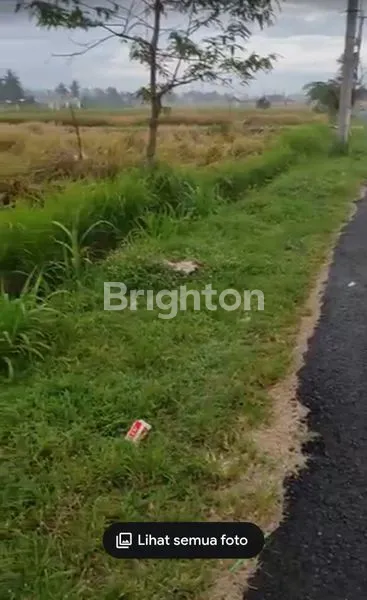 image DISEWAKAN TANAH DI PINGGIR PANTAI LIMA 70 JUTA  NEGO (3)