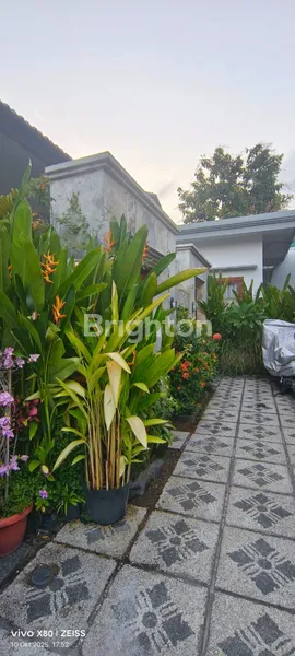 image AFFORDABLE VILLA FOR RENT IN SANUR (145V) (3)