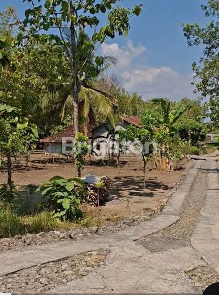 image TANAH DI WONOGIRI (1)