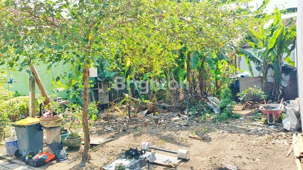 image TANAH STRATEGIS DI DALUNG, KUTA UTARA, BALI (2)