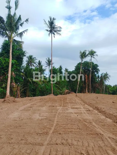 image DIJUAL – KAVLING PREMIUM MINIMAL 100 METER, VIEW JUNGLE & SUNGAI DI SABA, GIANYAR BALI (3)