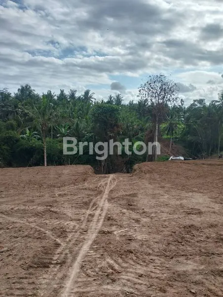 image DIJUAL – KAVLING PREMIUM MINIMAL 100 METER, VIEW JUNGLE & SUNGAI DI SABA, GIANYAR BALI (2)