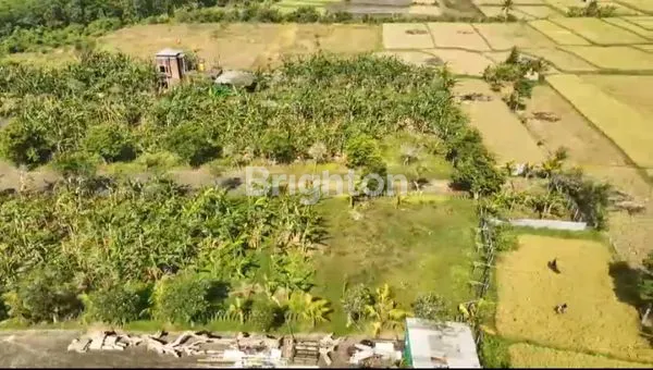 image DIJUAL TANAH KAPLING SIYUT GIANYAR HARGA DARI 650 JUTA (2)