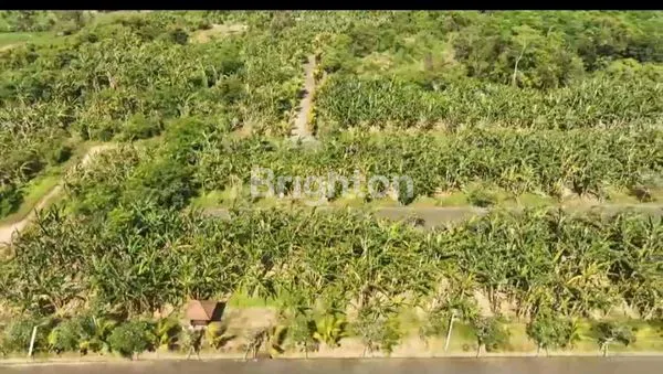 image DIJUAL TANAH KAPLING SIYUT GIANYAR HARGA DARI 650 JUTA (3)