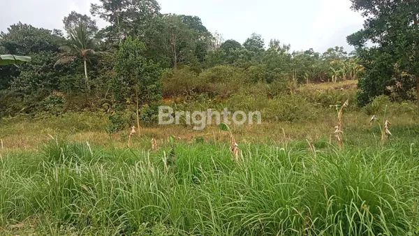 image DI JUAL TANAH JALAN POROS BALIKPAPAN -SAMARINDA,SAMBOJA -KUTAI KARTANEGARA  (1)