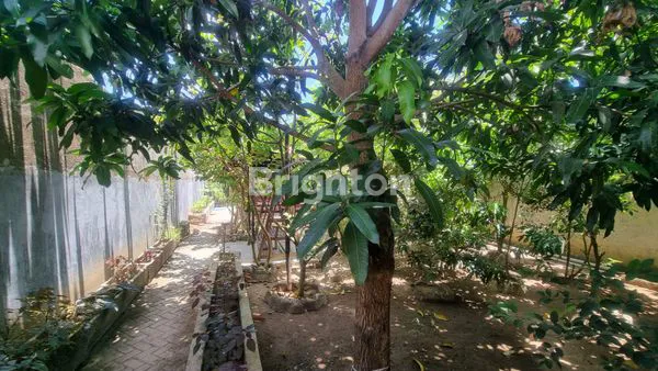 image VILLA DI BAROMBONG (6)