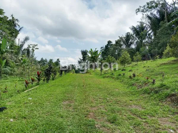 image THE THRONE LAND – CLUSTER 1 (PENEBEL, TABANAN) (2)