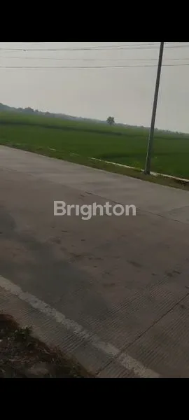 image LAHAN DIJUAL SIAP BANGUN PERUMAHAN – PONTANG, SERANG BANTEN (2)