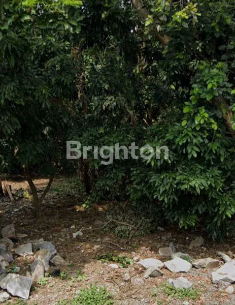 image TANAH MEMANJANG DI DAERAH LANGENSARI UNGARAN (1)