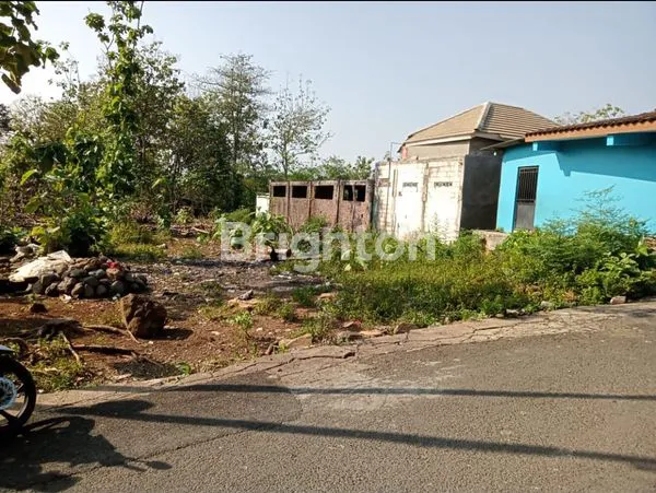 image TANAH PADAT SIAP INVESTASI SAMBIROTO (1)