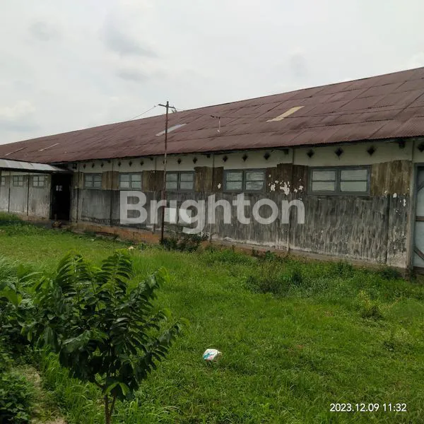 image GUDANG PUSAT KOTA  JEMBER (8)