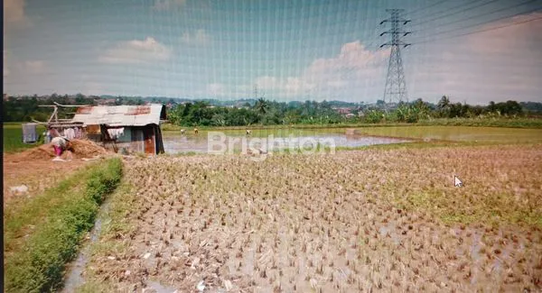 image TANAH CINAGARA CARINGIN BOGOR (8)