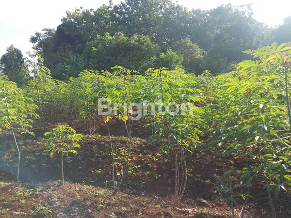 image TANAH SHM DI METESEH TEMBALANG SEMARANG LOKASI STRATEGIS (2)