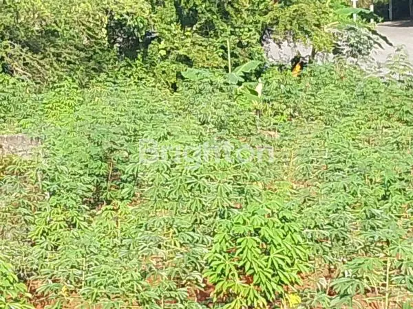 image TANAH SHM DI METESEH TEMBALANG SEMARANG LOKASI STRATEGIS (3)