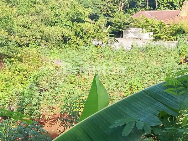 image TANAH SHM DI METESEH TEMBALANG SEMARANG LOKASI STRATEGIS (5)