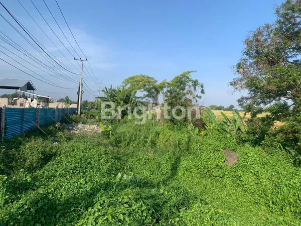 image LOKASI PREMIUM TANAH 300M², DEKAT PANTAI KEDUNGU (5)