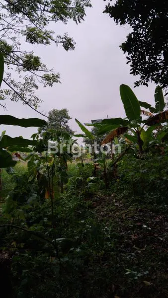 image TANAH KOSONG POTENSIAL SIAP BANGUN LOKASI STRATEGIS DEKAT TOL CIMANGGIS (8)