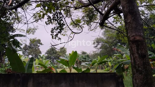 image TANAH KOSONG POTENSIAL SIAP BANGUN LOKASI STRATEGIS DEKAT TOL CIMANGGIS (7)