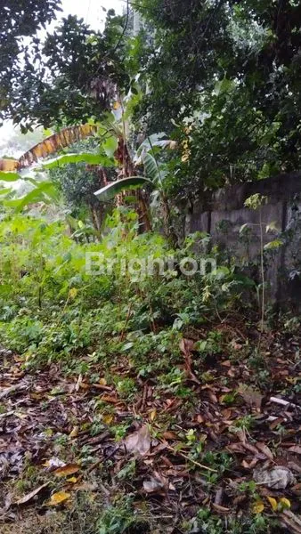 image TANAH KOSONG POTENSIAL SIAP BANGUN LOKASI STRATEGIS DEKAT TOL CIMANGGIS (5)