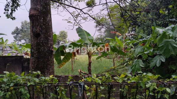image TANAH KOSONG POTENSIAL SIAP BANGUN LOKASI STRATEGIS DEKAT TOL CIMANGGIS (6)
