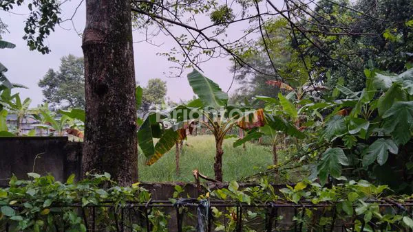 image TANAH KOSONG POTENSIAL SIAP BANGUN LOKASI STRATEGIS DEKAT TOL CIMANGGIS (2)