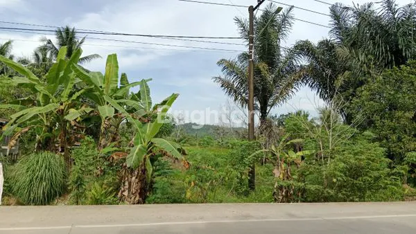 image LAHAN PREMIUM PINGGIR JALAN RAYA (3)