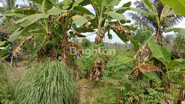 image LAHAN PREMIUM PINGGIR JALAN RAYA (2)