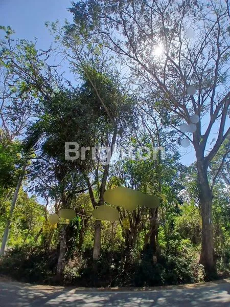 image JUAL SEWA TANAH DI ULUWATU  (3)