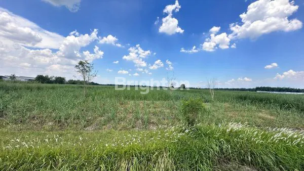 image TANAH LOKASI MOJOKERTO NOL JLN RAYA (3)