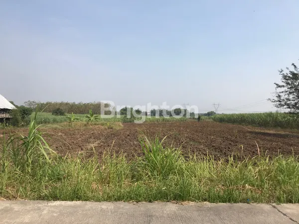 image KAVLING INDUSTRI DAWAR BLANDONG MOJOKERTO, JALAN SUDAH ASPAL, IJIN BISA UTK PABRIK/GUDANG (1)