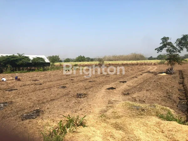 image KAVLING INDUSTRI DAWAR BLANDONG MOJOKERTO, JALAN SUDAH ASPAL, IJIN BISA UTK PABRIK/GUDANG (3)