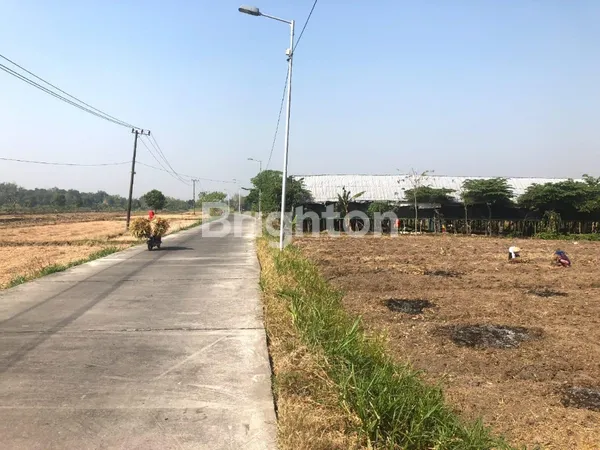 image KAVLING INDUSTRI DAWAR BLANDONG MOJOKERTO, JALAN SUDAH ASPAL, IJIN BISA UTK PABRIK/GUDANG (4)