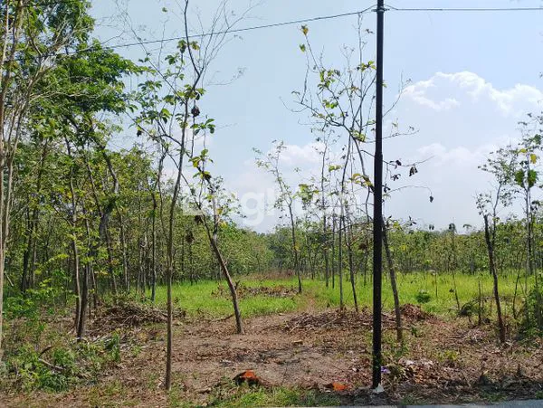 image TANAH LUAS 3332 M² PINGGIR JL. ALTERNATIF TAWANGSARI - BAYAT (1)