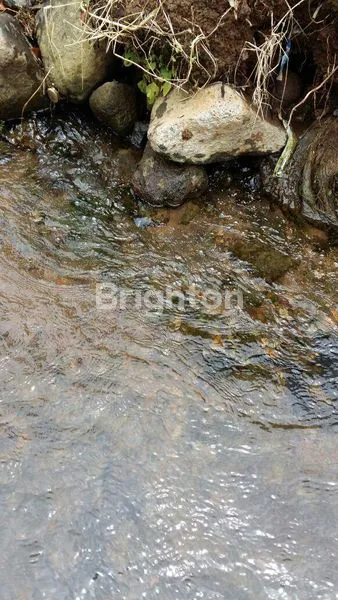 image TANAH ALAM 15 HEKTAR DENGAN AIR TERJUN, AIR PANAS & AIR JERNIH – INVESTASI LANGKA BERNILAI TINGGI DI SUBANG (6)