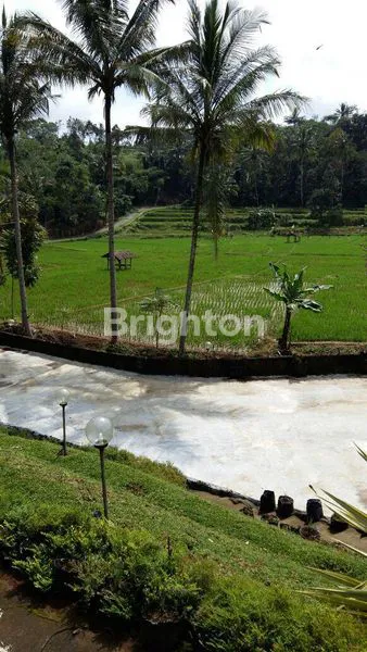 image TANAH ALAM 15 HEKTAR DENGAN AIR TERJUN, AIR PANAS & AIR JERNIH – INVESTASI LANGKA BERNILAI TINGGI DI SUBANG (3)