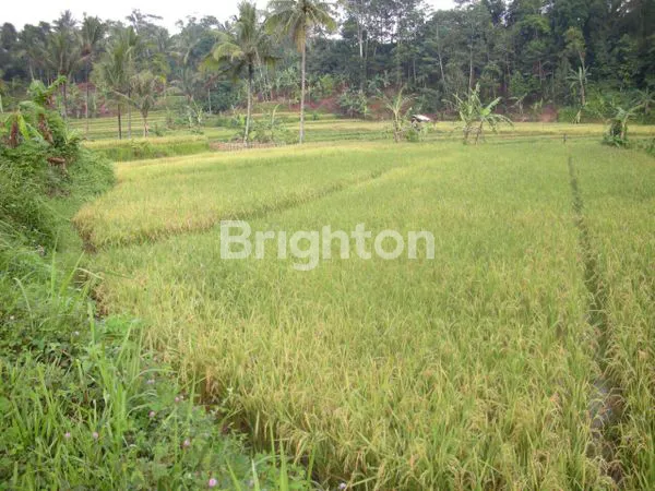 image TANAH ALAM 15 HEKTAR DENGAN AIR TERJUN, AIR PANAS & AIR JERNIH – INVESTASI LANGKA BERNILAI TINGGI DI SUBANG (4)