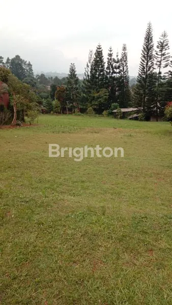 image TANAH DI CISARUA LUAS 1,2 HEKTAR (2)