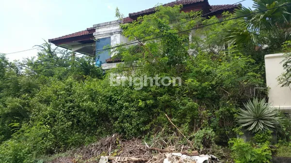 image BENOA BADUNG BALI (1)