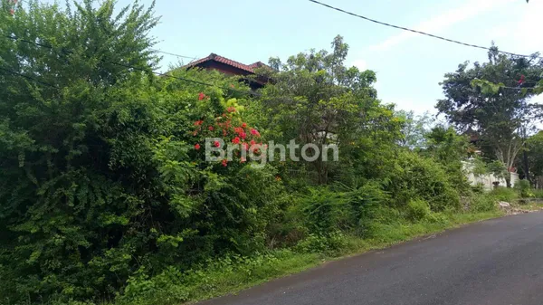 image BENOA BADUNG BALI (3)