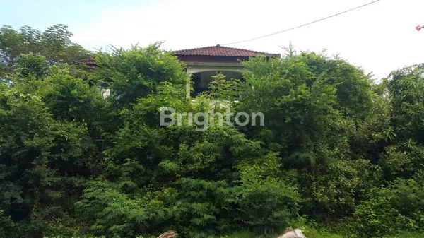 image BENOA BADUNG BALI (4)