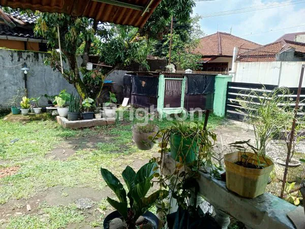 image DIJUAL RUMAH SIAP HUNI, DI KEDUNGHALANG, BOGOR UTARA (2)