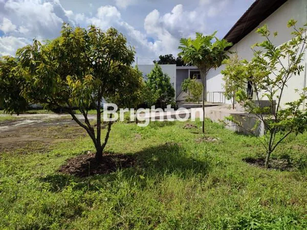 image RUMAH JALAN PURWOREJO (2)